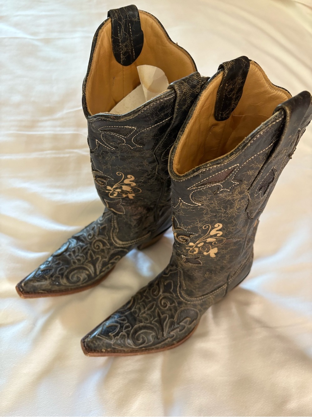 Women's Distressed Black Corral Lizard Inlay Embroidered Western Heeled Boots